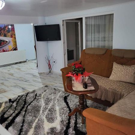 Apartamento Apartament Cu Terasa Si Gratar Satu Mare Exterior foto