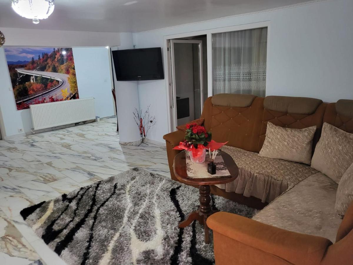Apartamento Apartament Cu Terasa Si Gratar Satu Mare Exterior foto