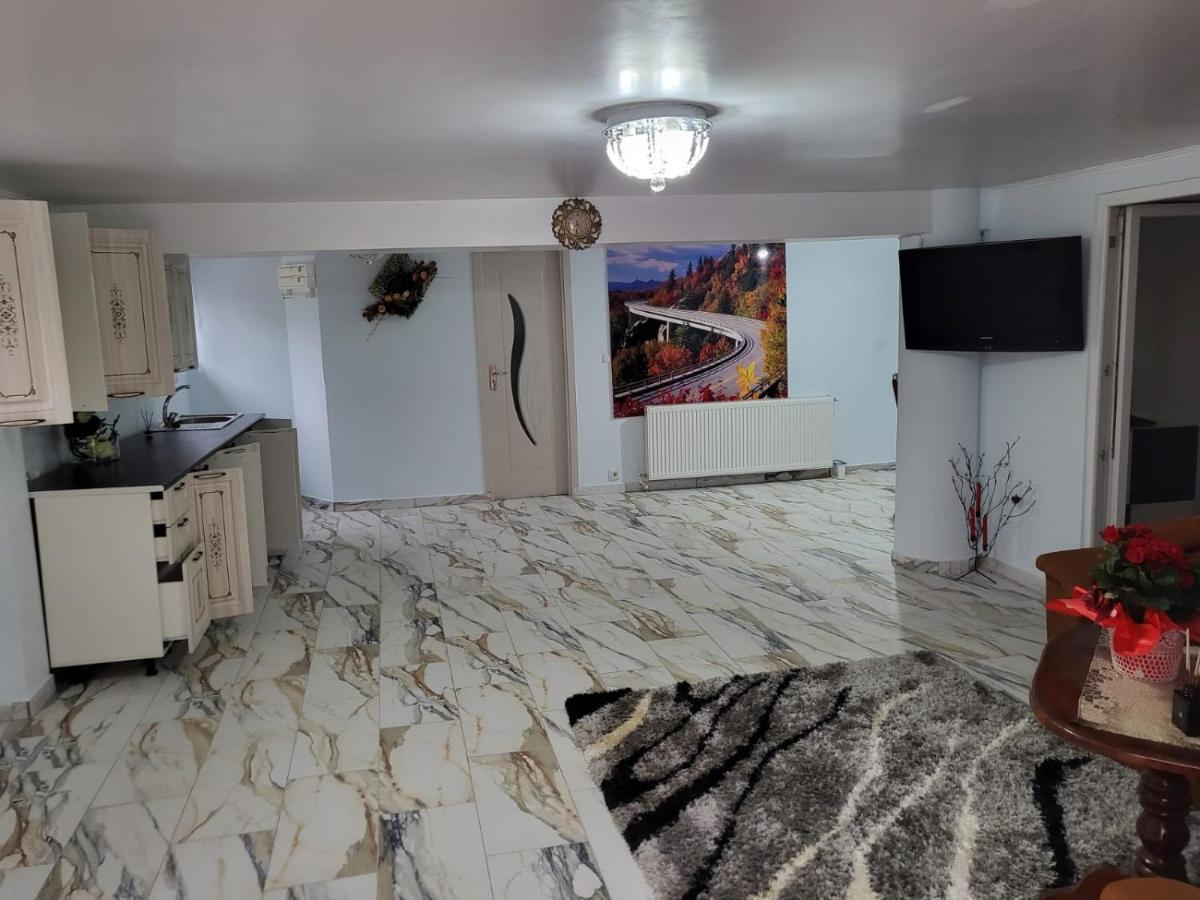 Apartamento Apartament Cu Terasa Si Gratar Satu Mare Exterior foto
