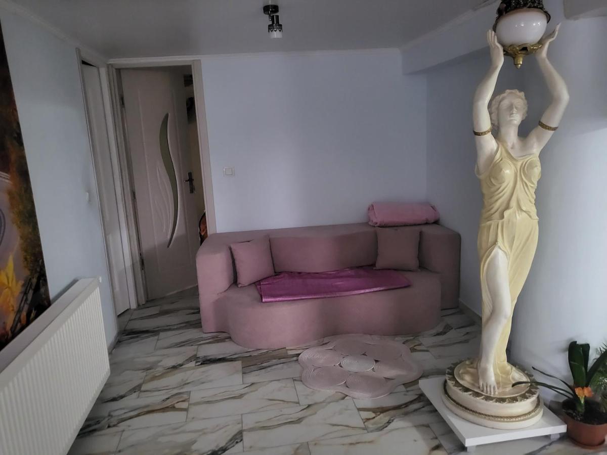 Apartamento Apartament Cu Terasa Si Gratar Satu Mare Exterior foto