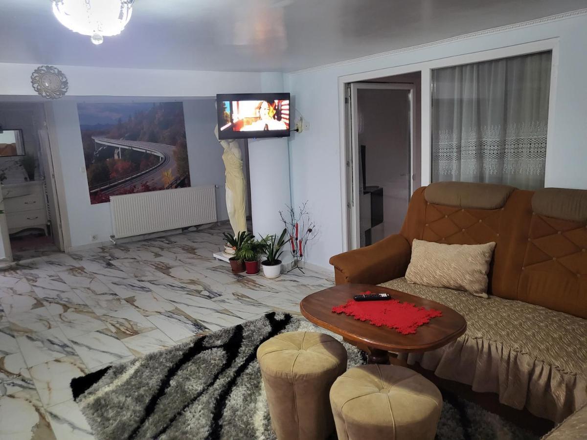 Apartamento Apartament Cu Terasa Si Gratar Satu Mare Exterior foto